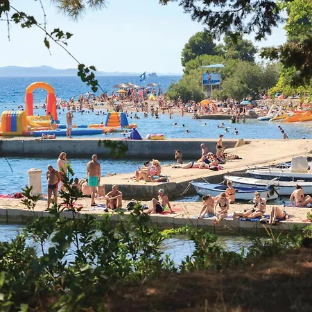 D * Brisevo