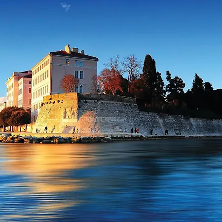 D Brisevo
